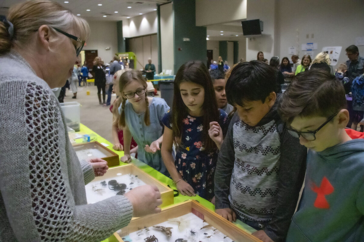 Students learn about insects at the CMG Insect Expo.