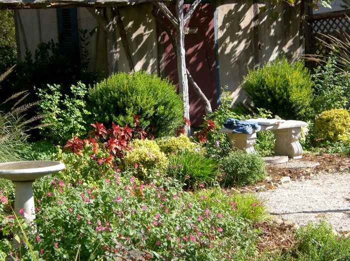 photo of the Lindheimer House Gardens with a gravel path, bench, and bird bath