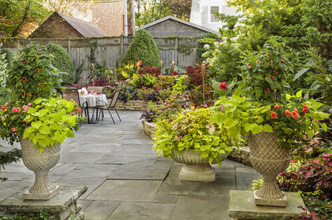 Container Gardening on a Patio from BHG.com