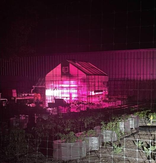 The setting is in a vegetable garden at night. In the front you see tomato plants in cages with a greenhouse glowing with inner red lighting. 