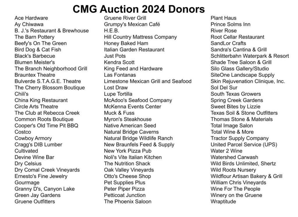 LIst of business donors for the 2024 annual auction