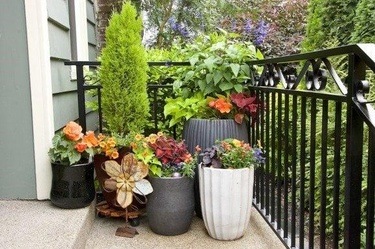 Container Gardens from ProvenWinner.com by Peggy Evans