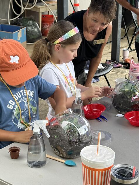 Planting Terrariums