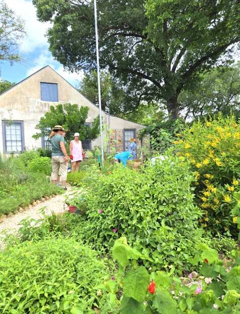 Lindheimer Garden Volunteers