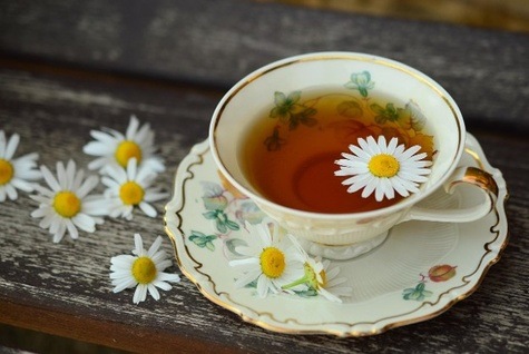 Chamomile from Pixabay.com by congerdesign